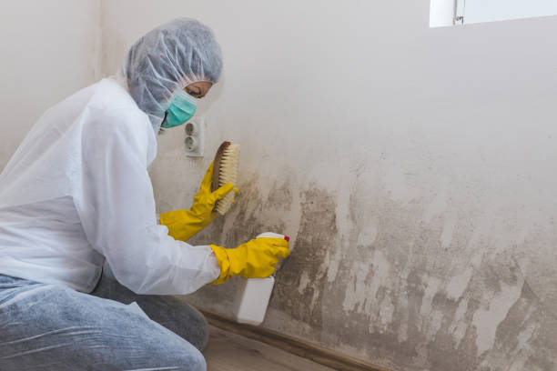 Best Air Quality Testing for Mold Spores  in Porterville, CA