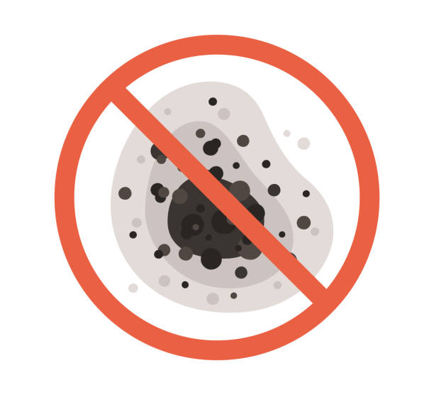 Best HVAC Mold Inspection and Cleaning  in Porterville, CA