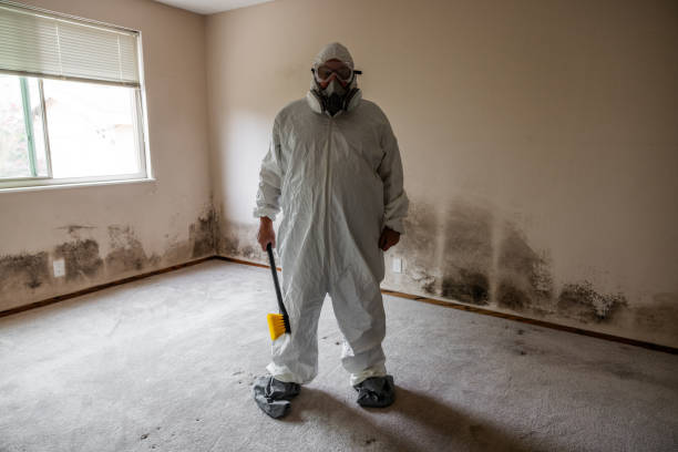 Best Post-Remediation Verification Testing  in Porterville, CA